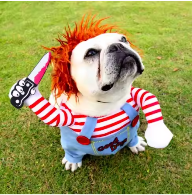 Chucky Dog Costume
