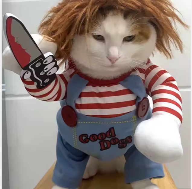Chucky Dog Costume