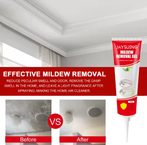 Household Mold Remover
