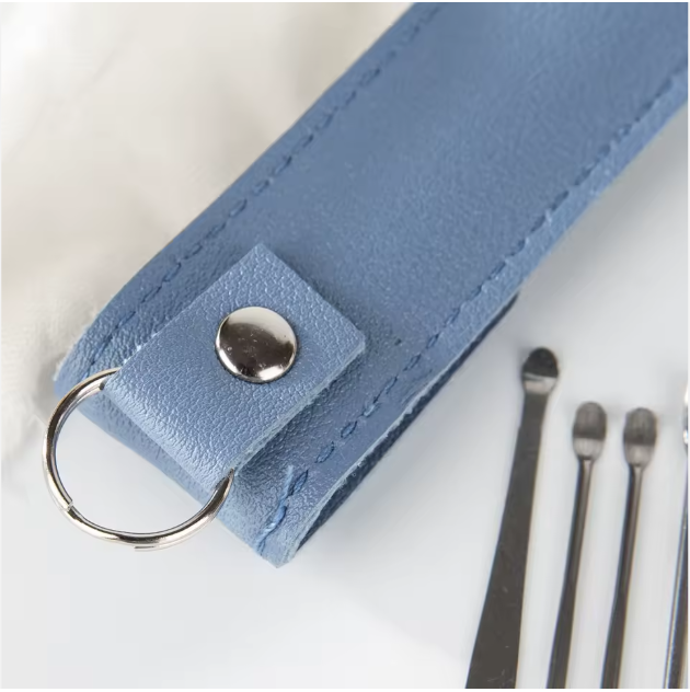 Stainless Steel Earwax Removal Kit