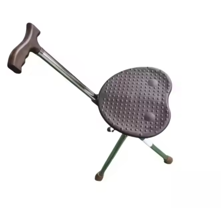 Walking Cane With Chair