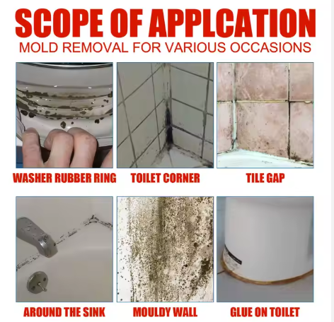 Household Mold Remover