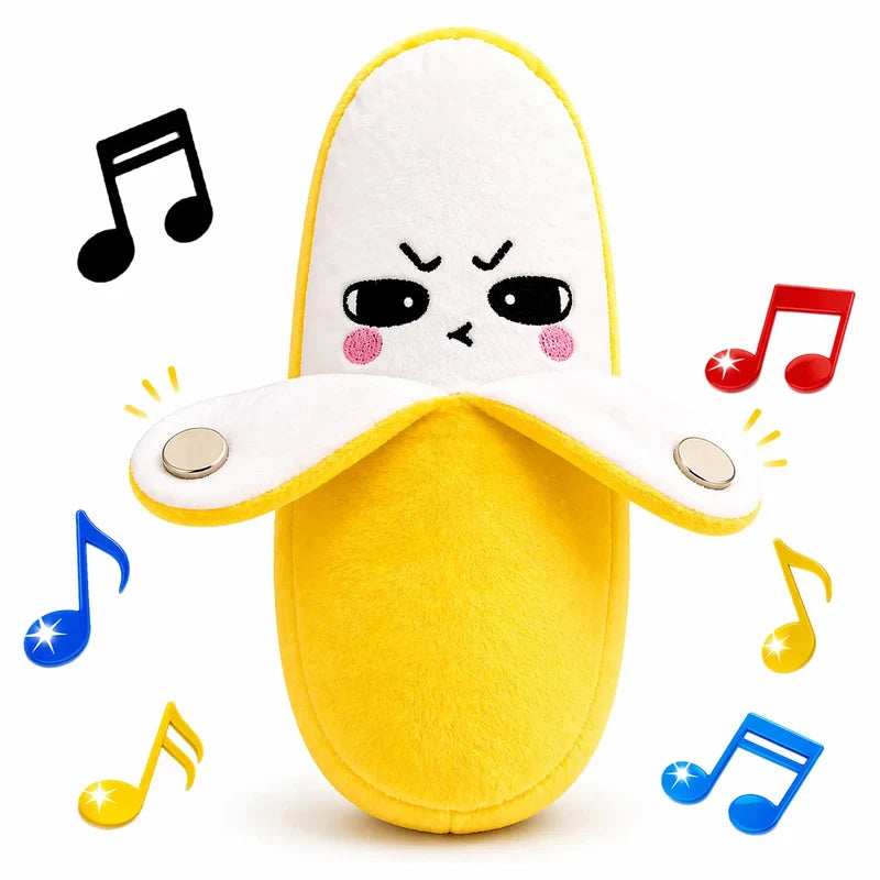 Musical Sensory Toys