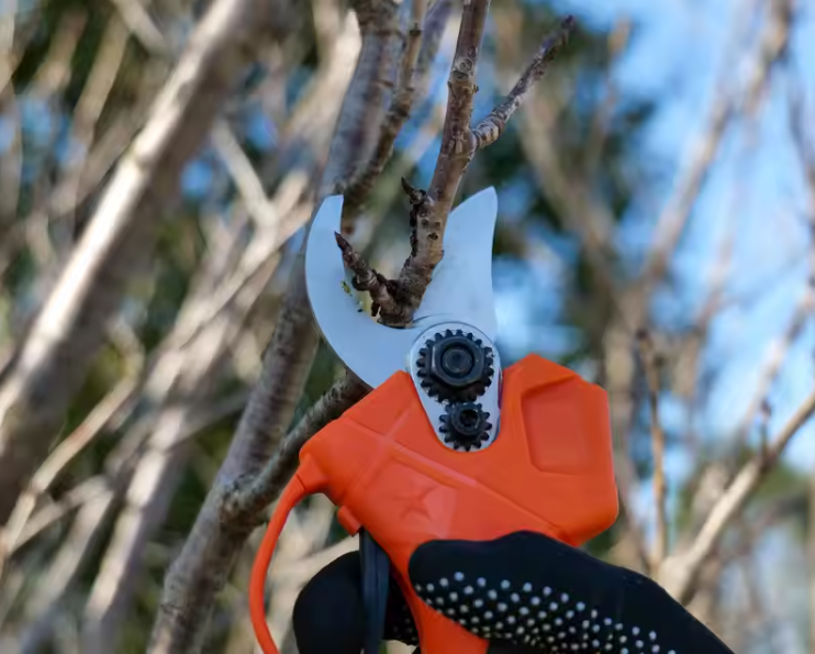 Cordless Electric Pruning Shears